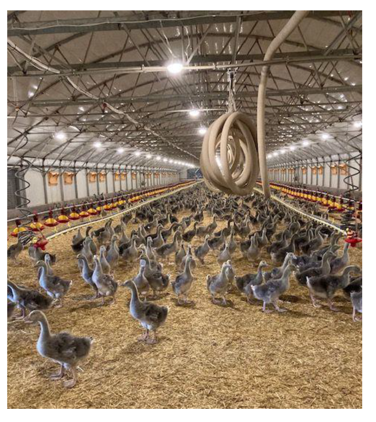 Technologies 13 00017 g002