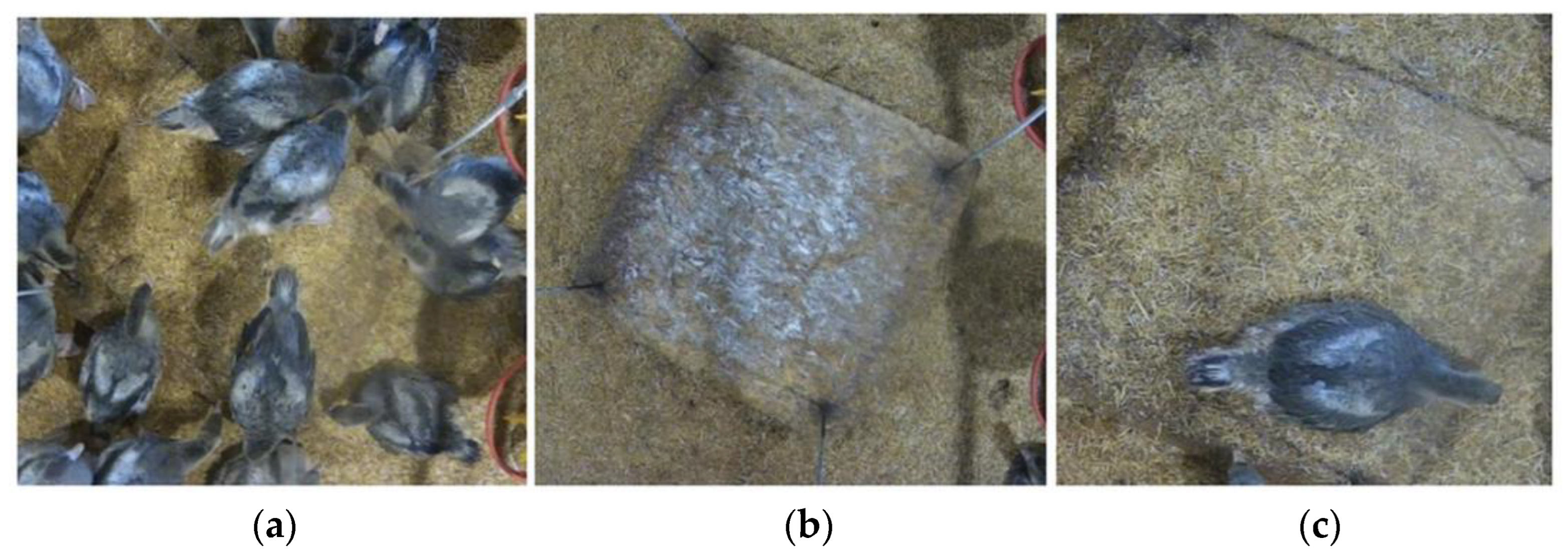 Technologies 13 00017 g003