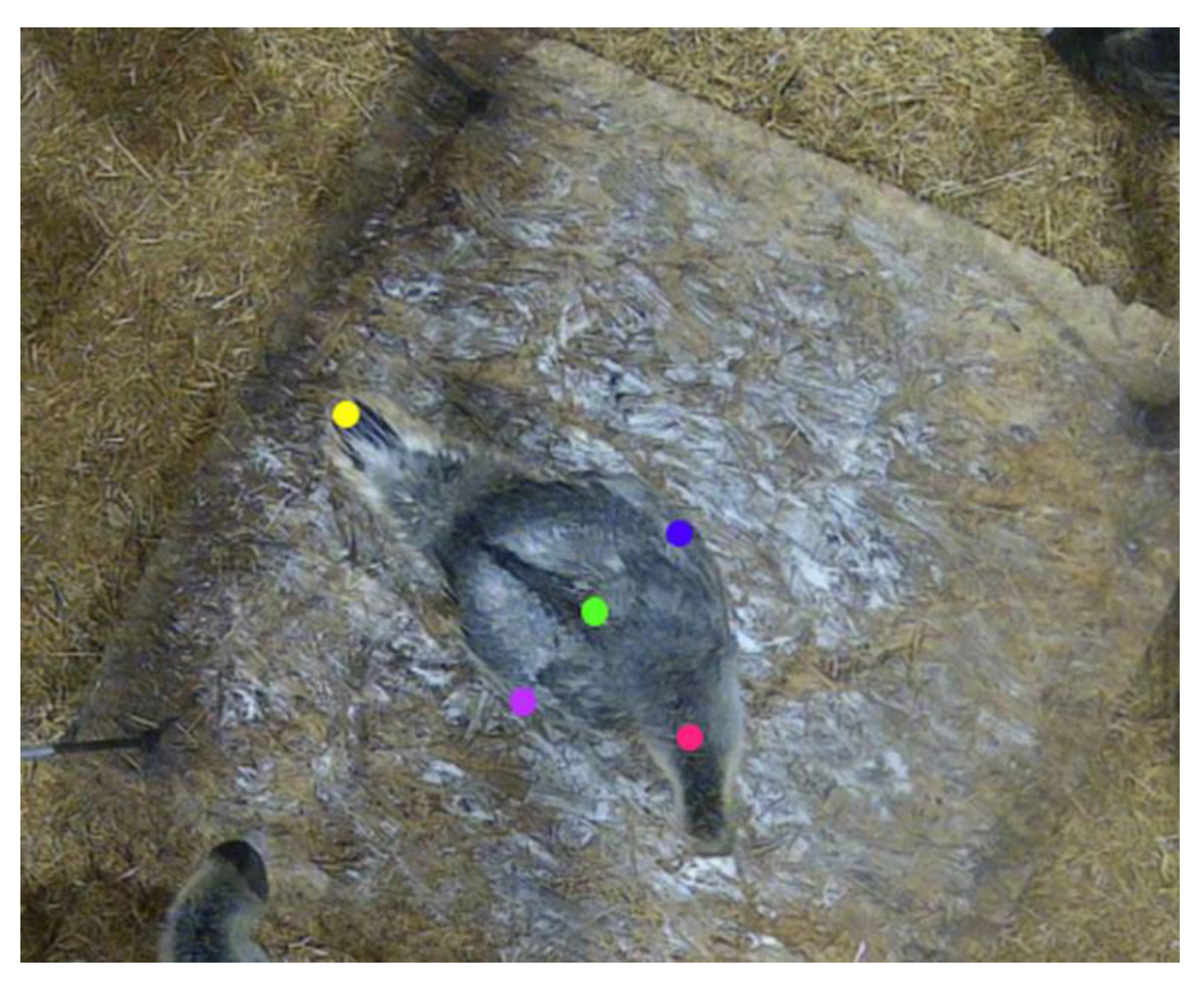 Technologies 13 00017 g006