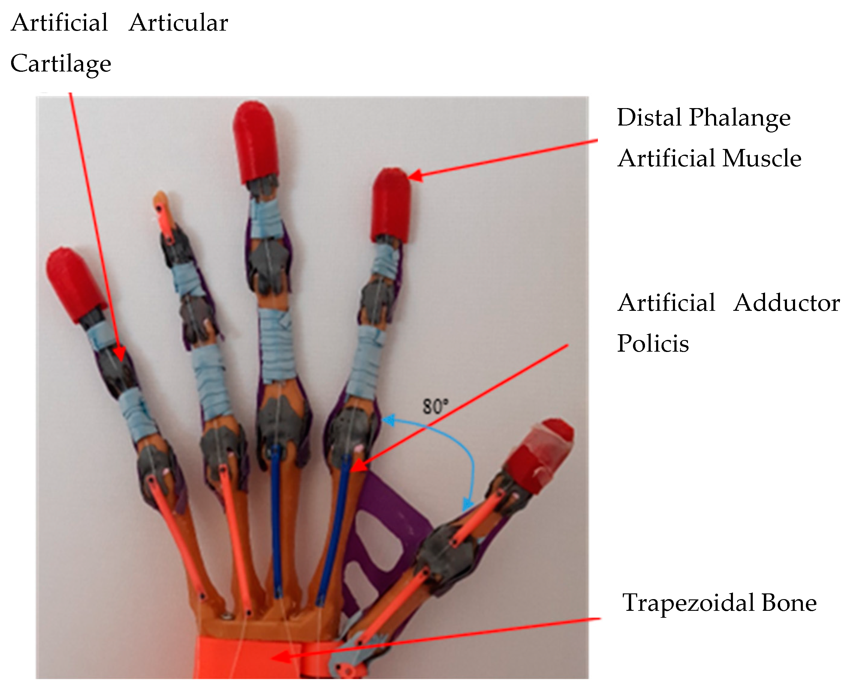 Technologies 13 00021 g001