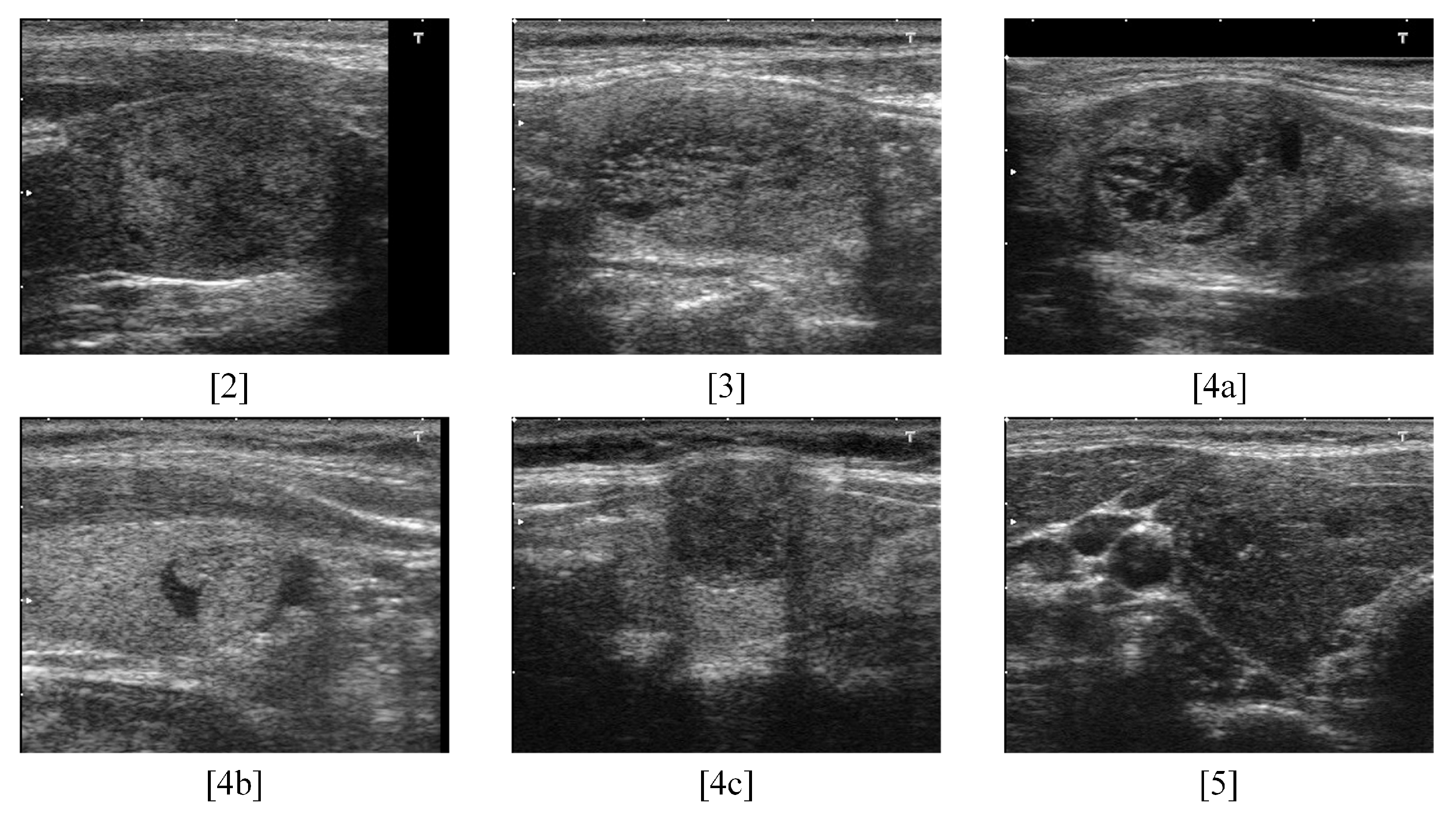 Technologies 13 00028 g002