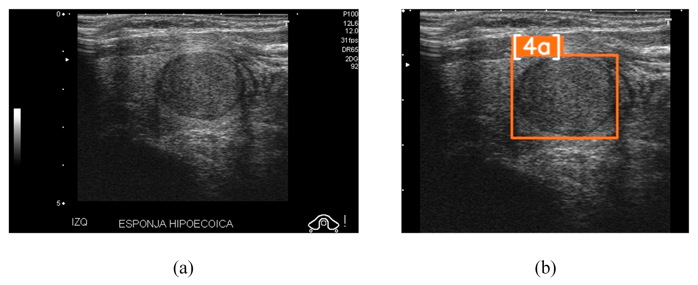 Technologies 13 00028 g004