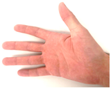 Technologies 13 00037 i005