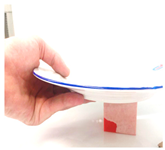 Technologies 13 00037 i022