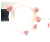 Technologies 13 00037 i024