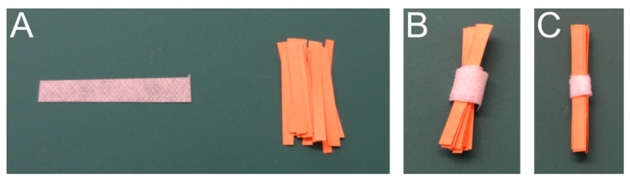 Technologies 13 00049 g002