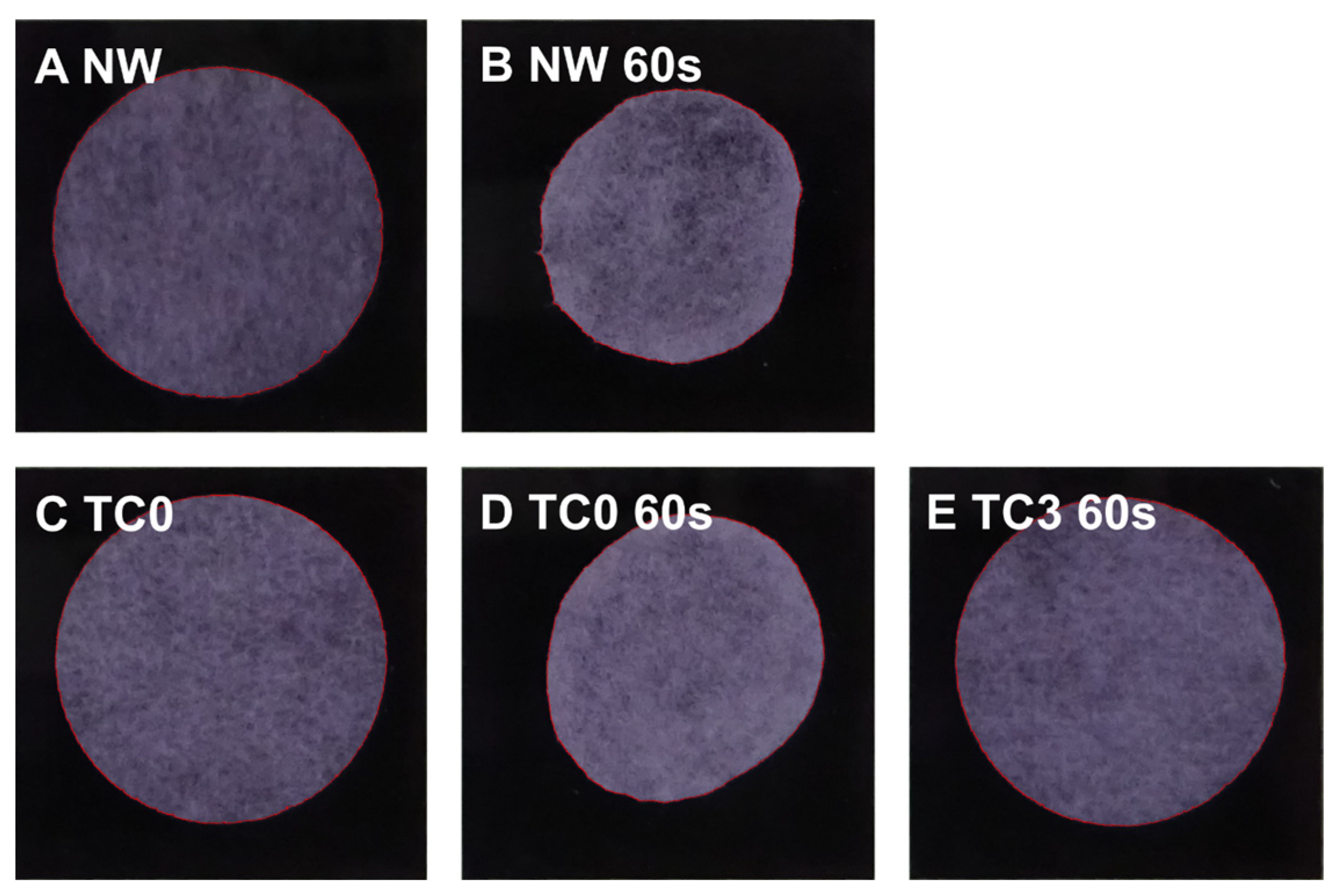 Technologies 13 00049 g004