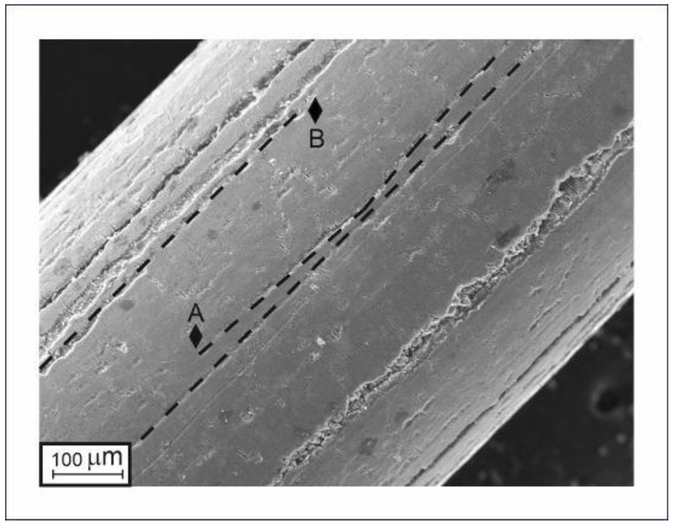 Technologies 13 00080 g004