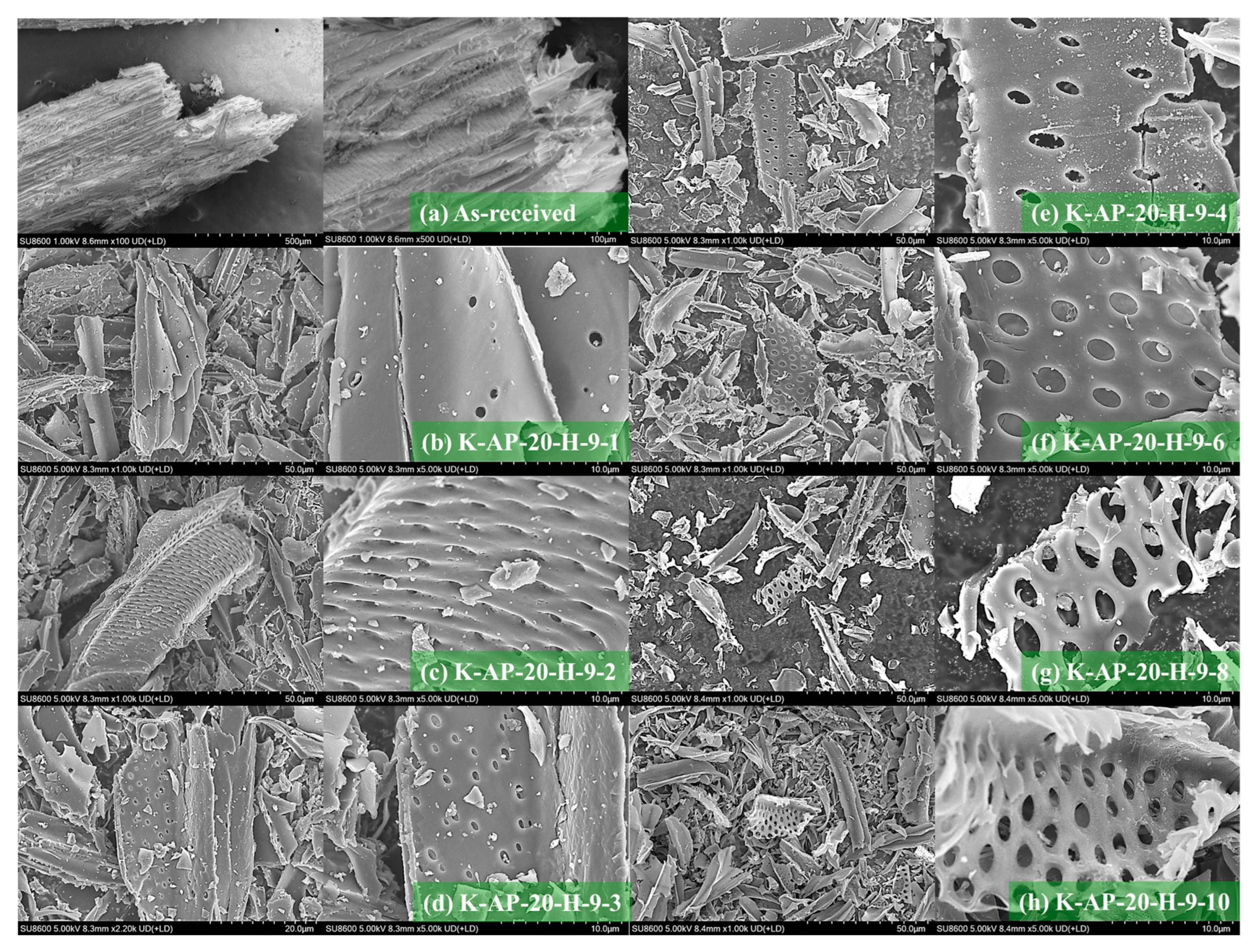 Technologies 13 00089 g006