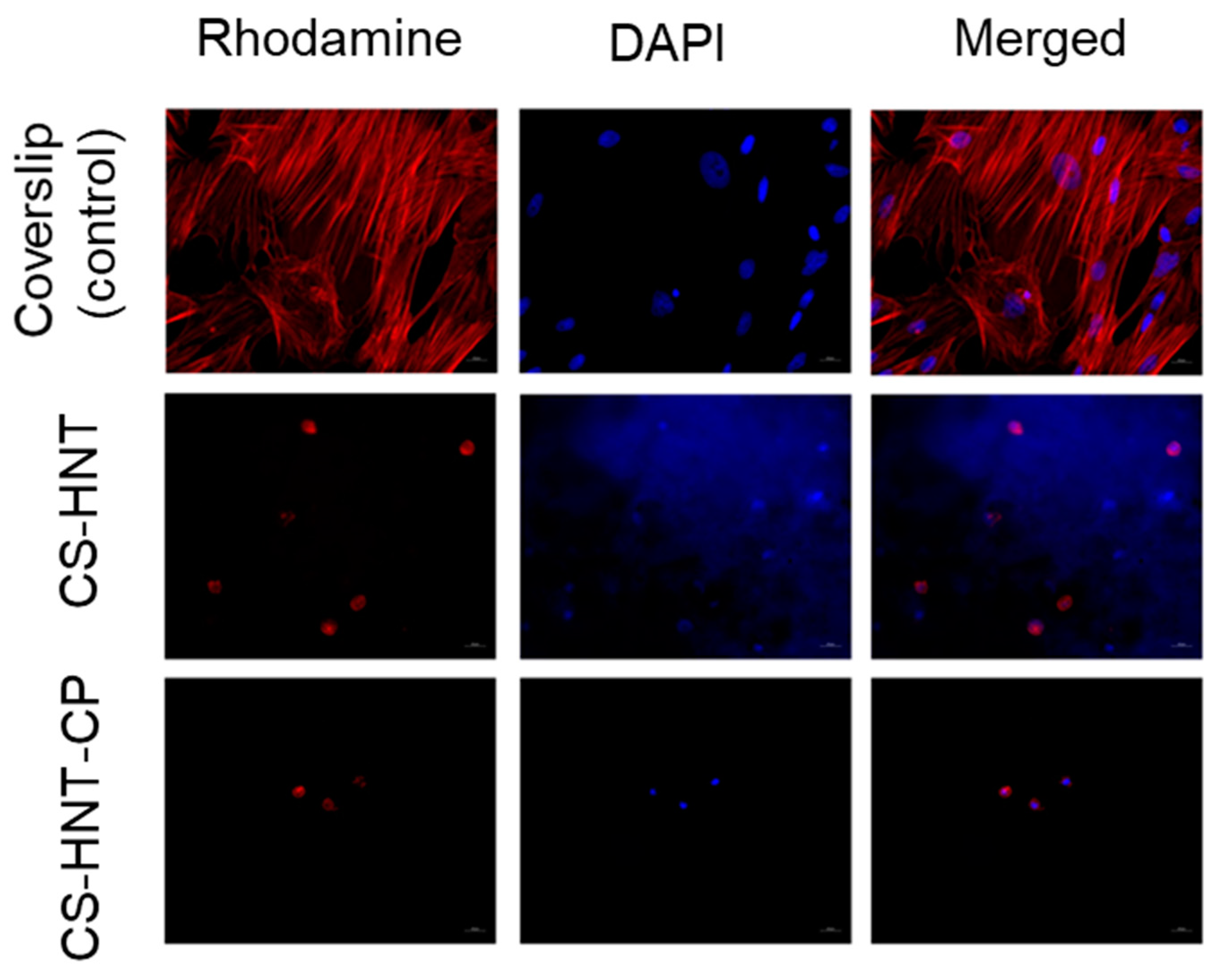 Technologies 13 00090 g006