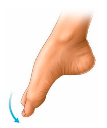 Technologies 13 00098 i002