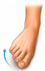 Technologies 13 00098 i004