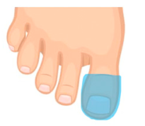 Technologies 13 00098 i005