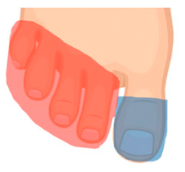 Technologies 13 00098 i007