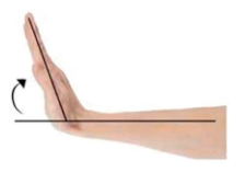 Technologies 13 00098 i008