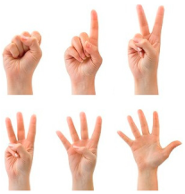 Technologies 13 00098 i014