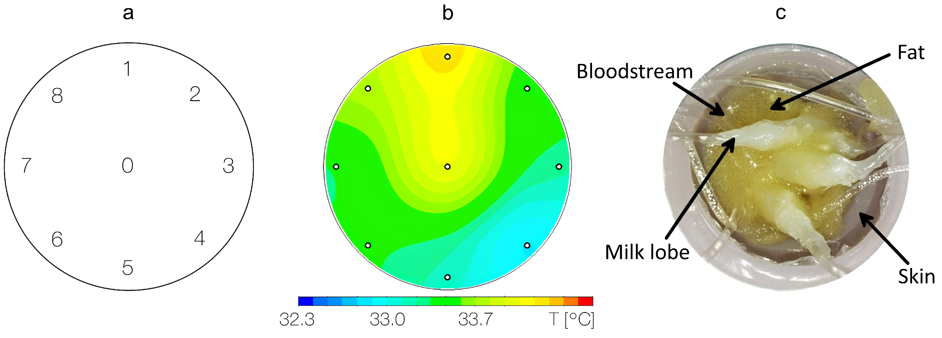 Technologies 13 00106 g007