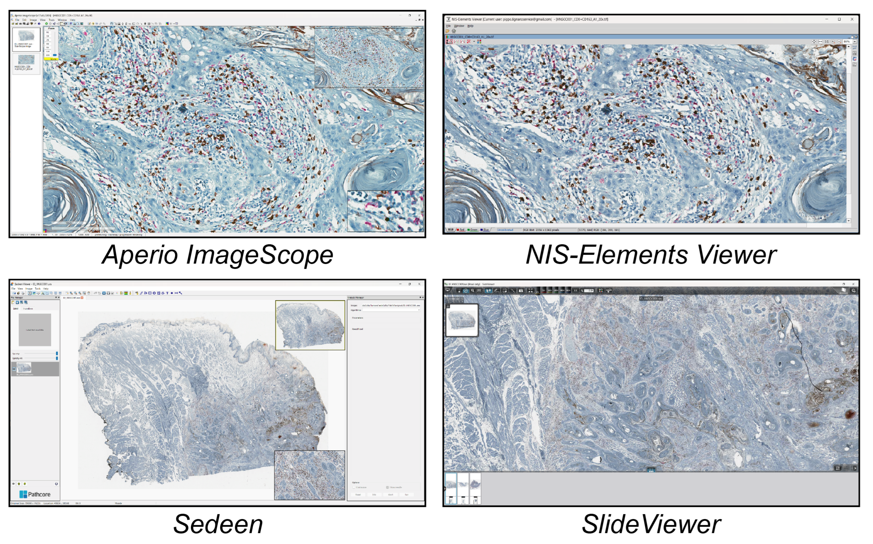 Technologies 13 00110 g002