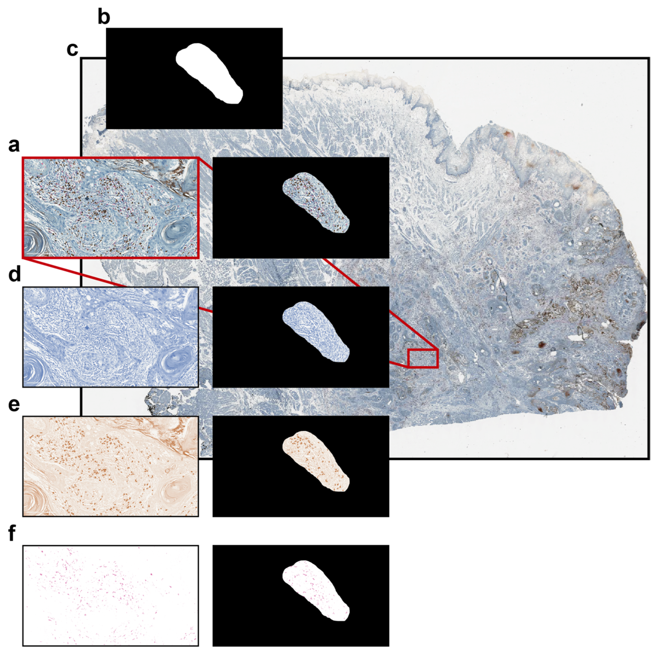 Technologies 13 00110 g004
