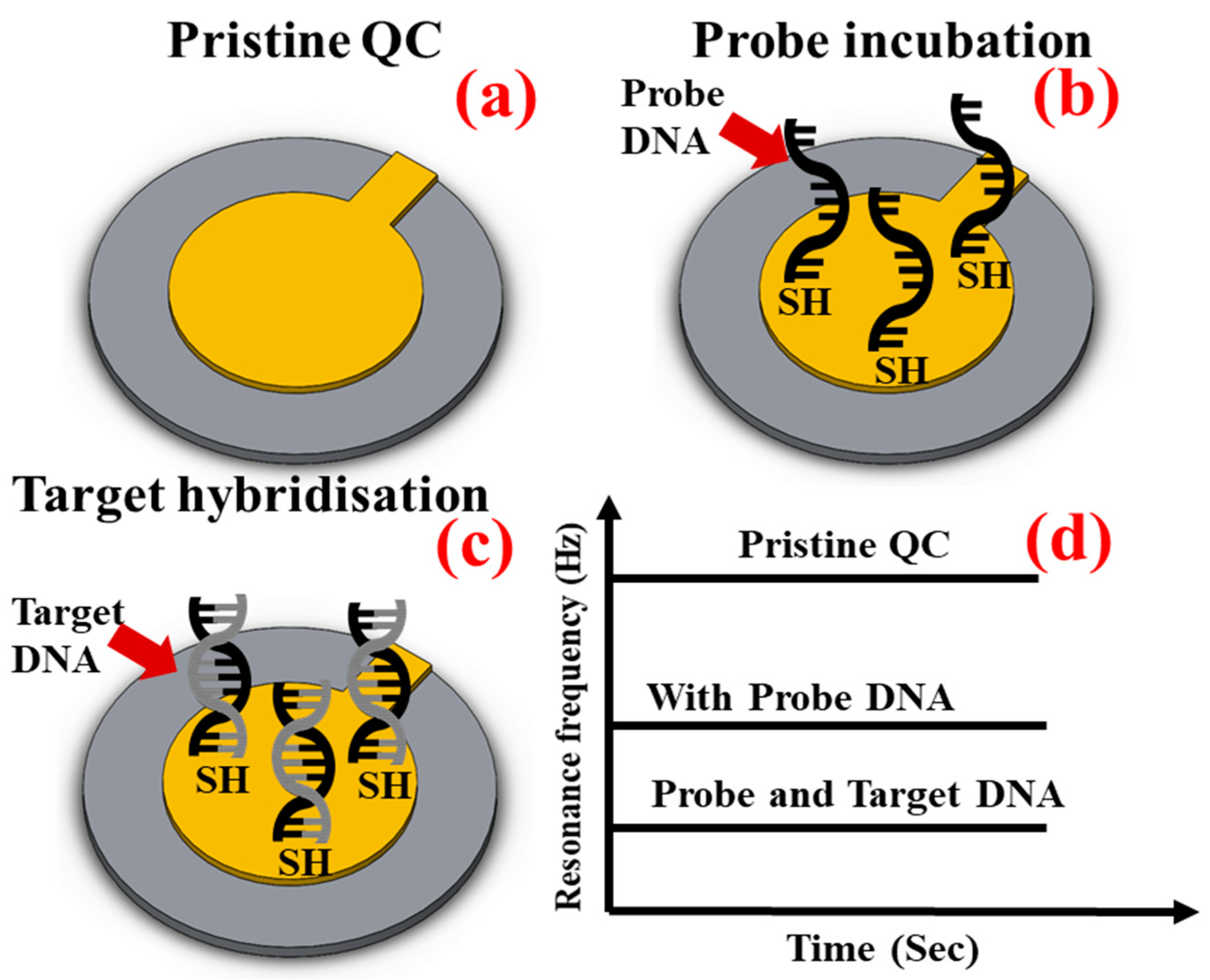 Technologies 13 00114 g002