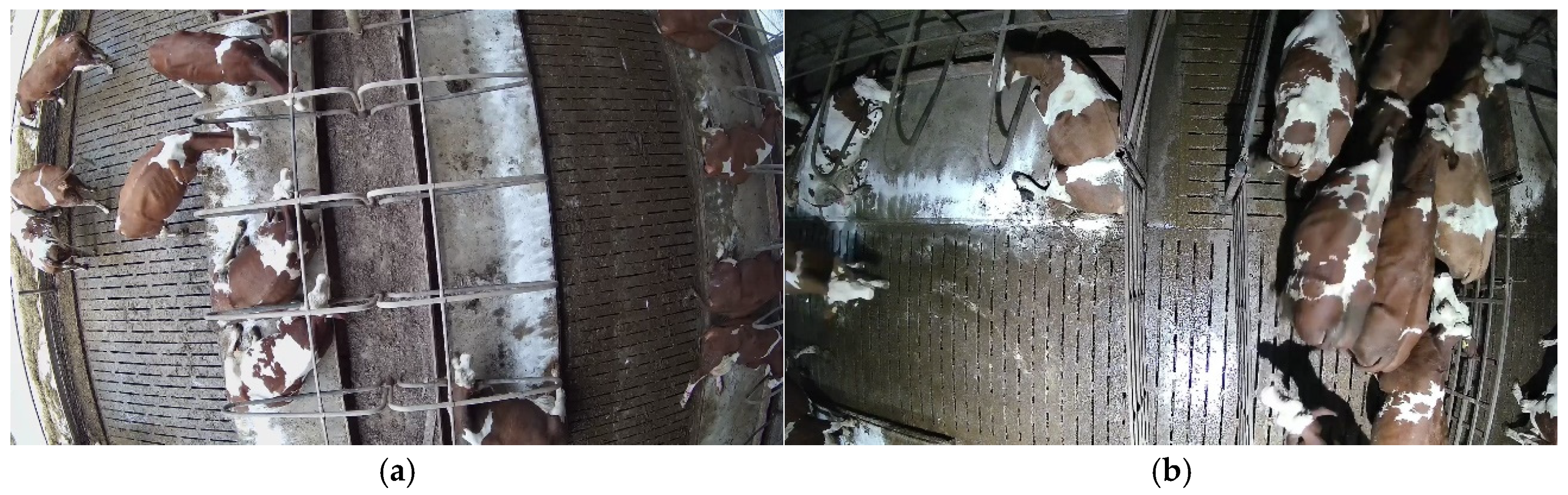 Technologies 13 00116 g001