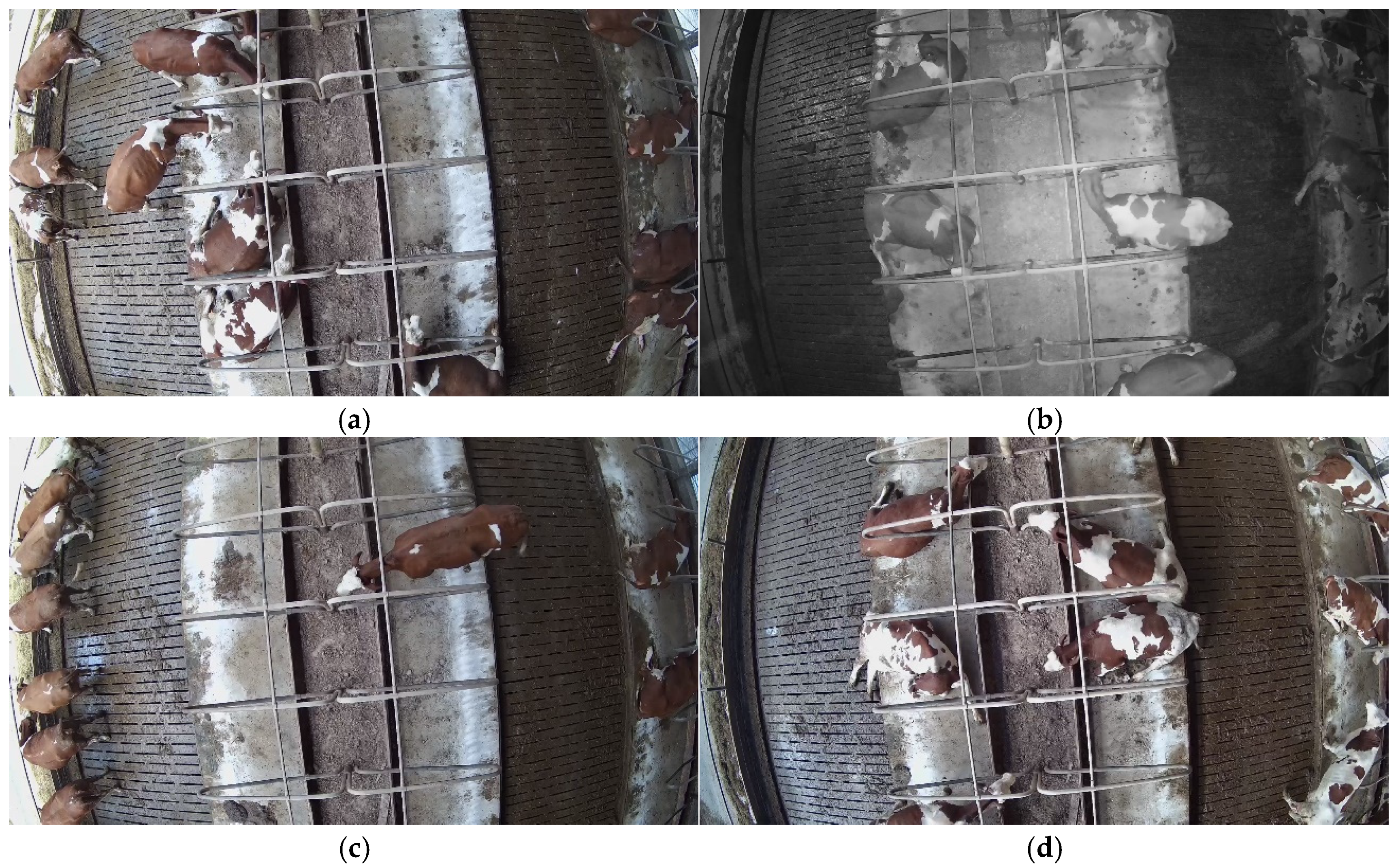 Technologies 13 00116 g002