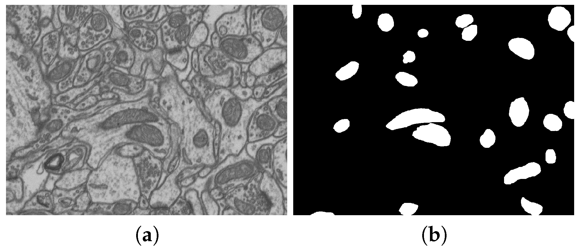 Technologies 13 00127 g002