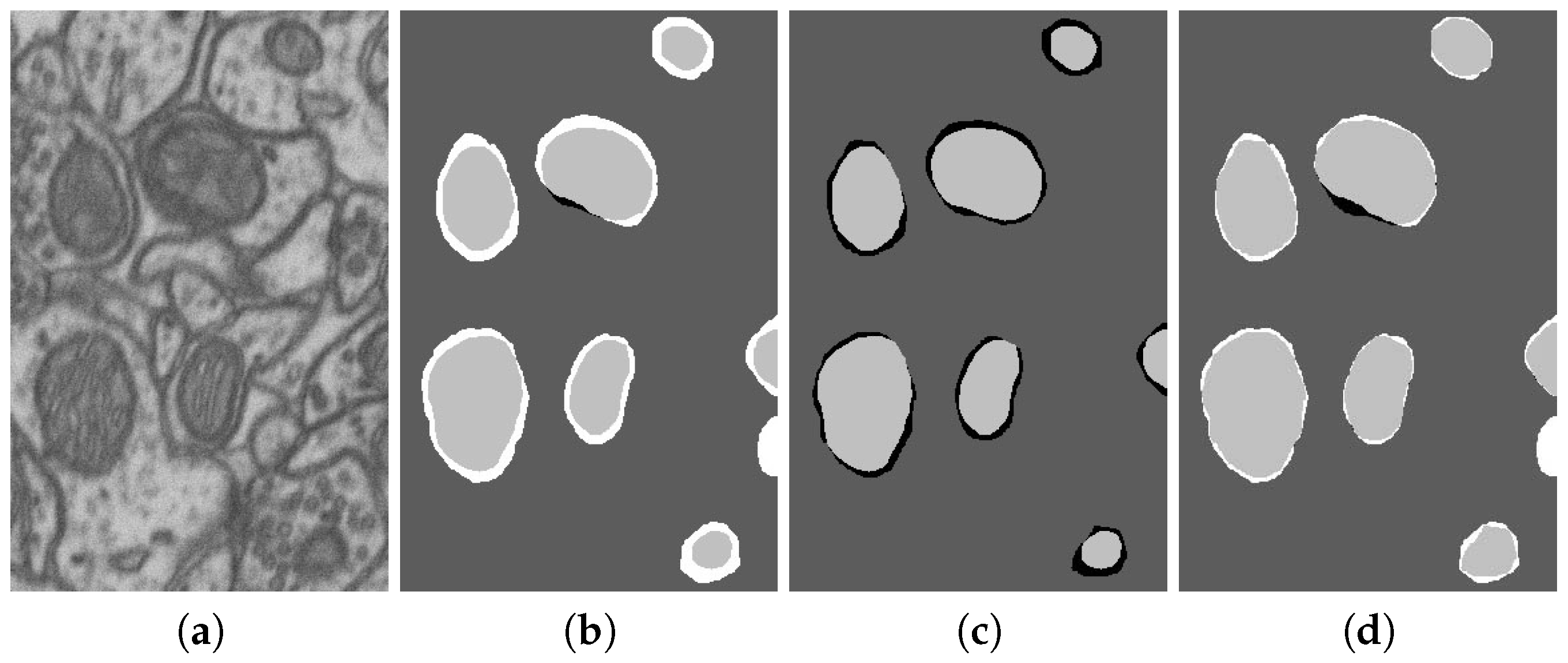 Technologies 13 00127 g004