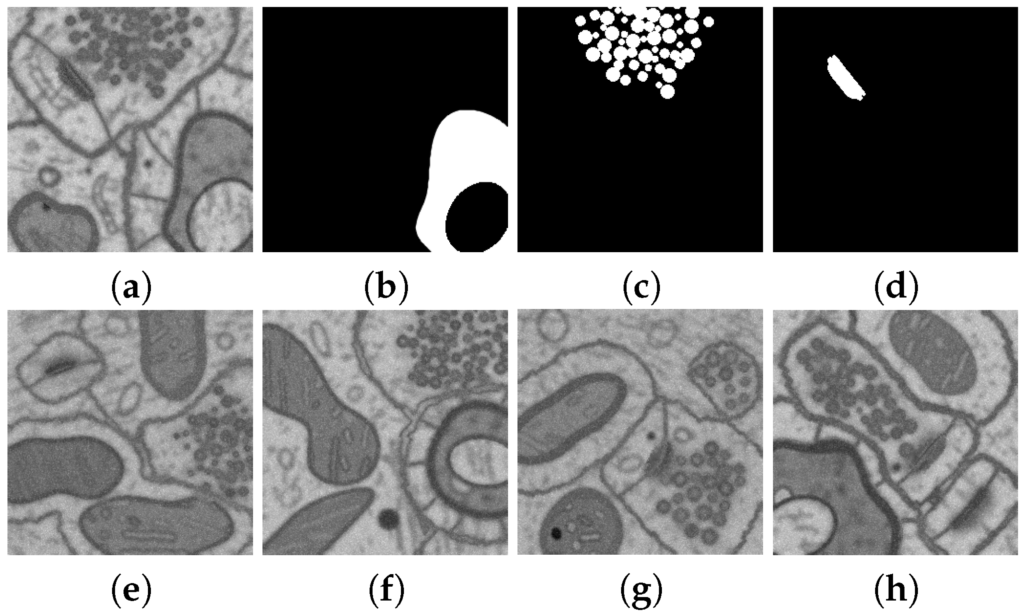 Technologies 13 00127 g008