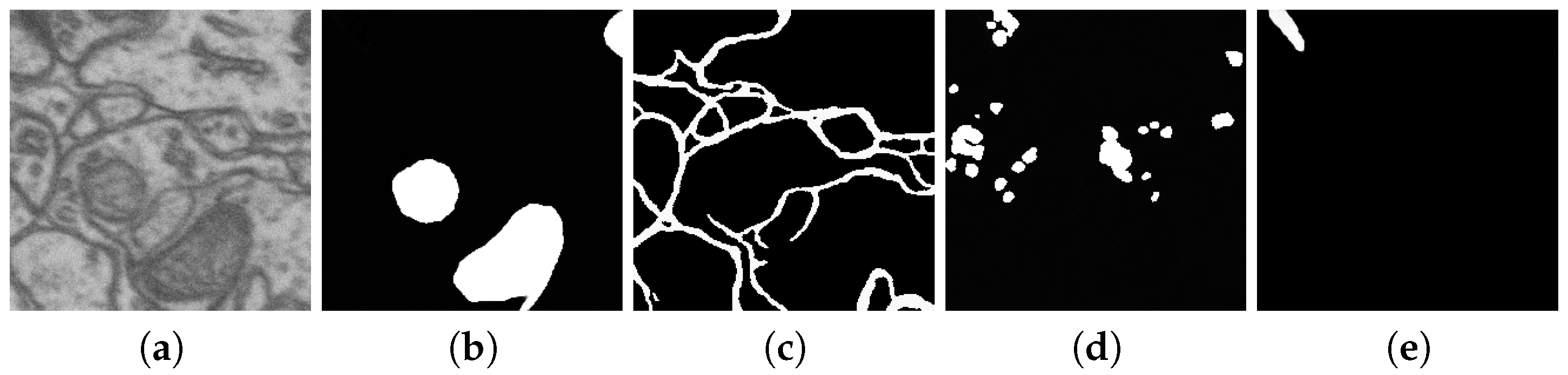 Technologies 13 00127 g011