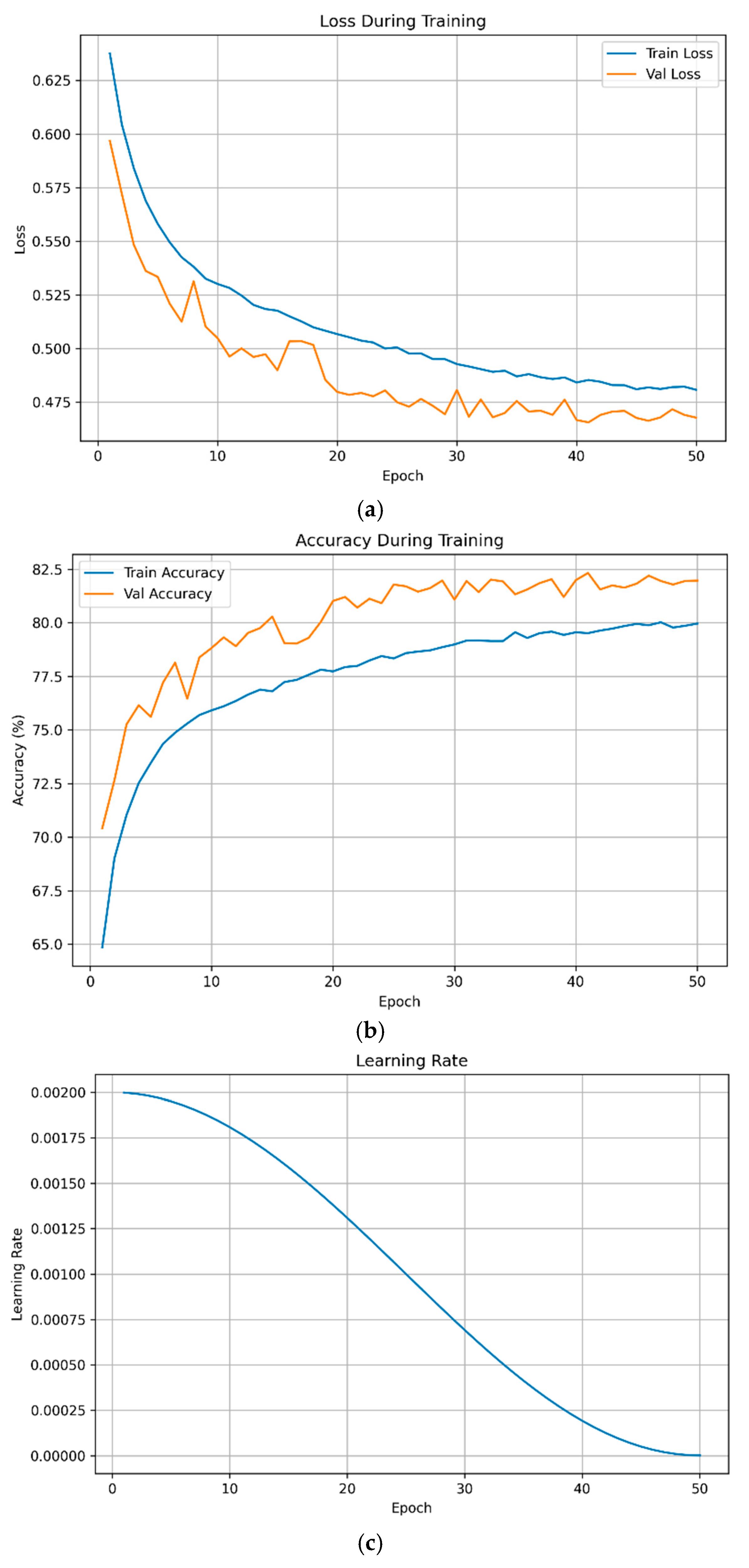 Technologies 13 00155 g001