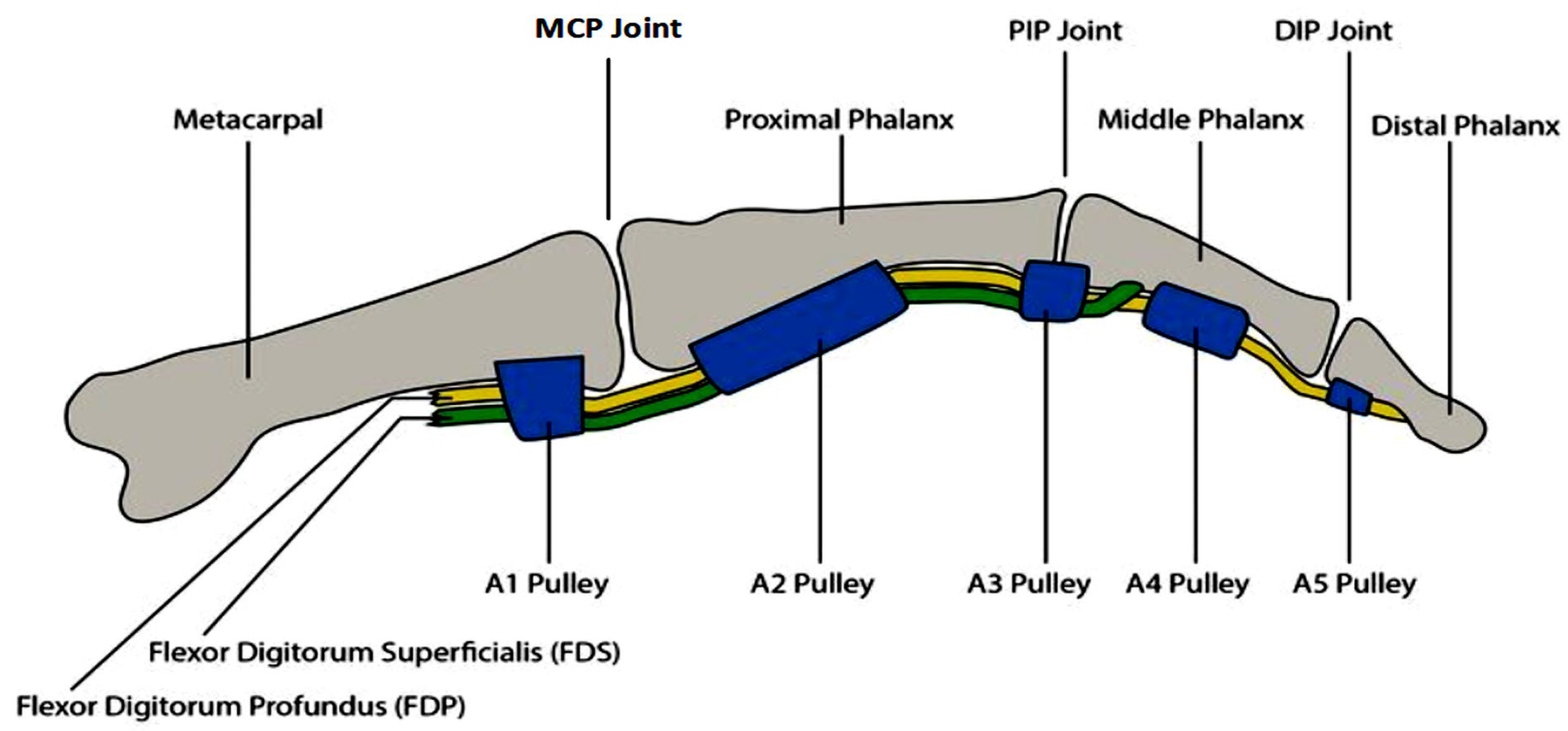 Technologies 13 00169 g007