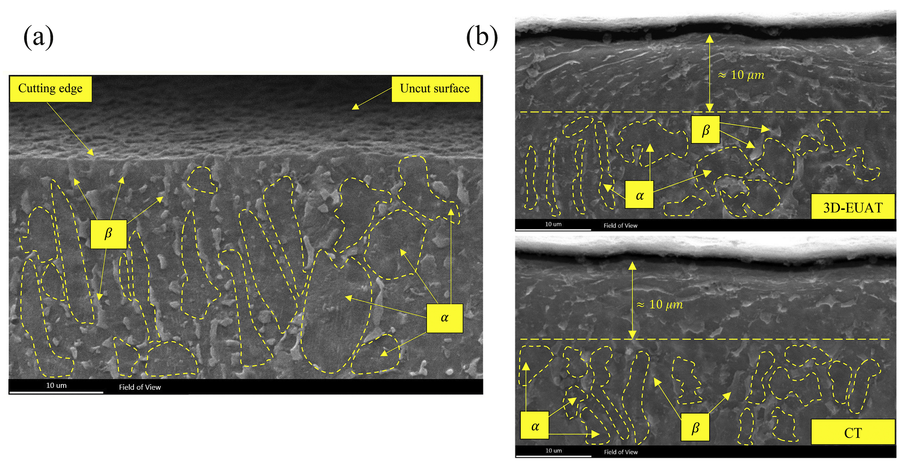 Technologies 13 00172 g021