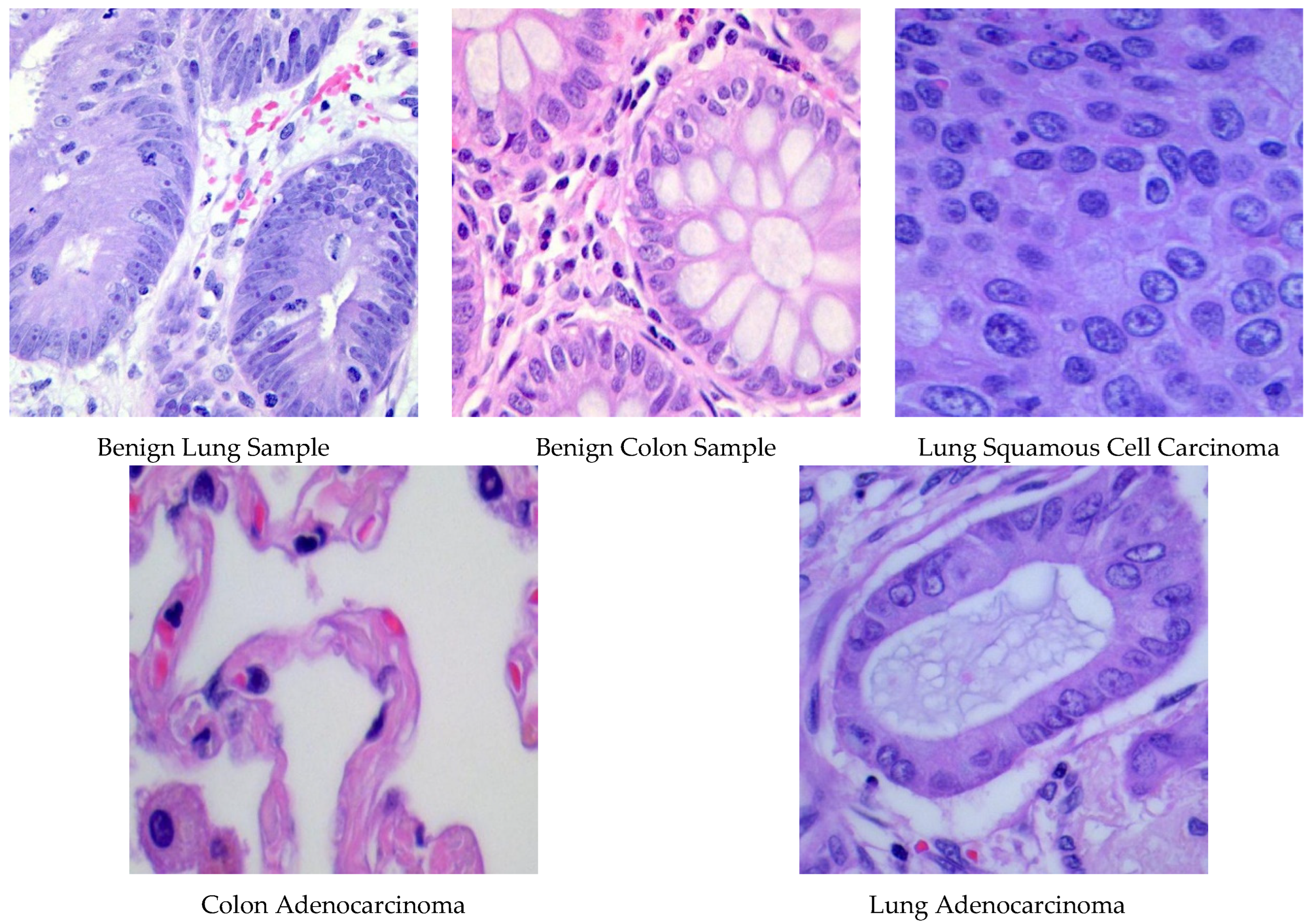 Technologies 13 00173 g001