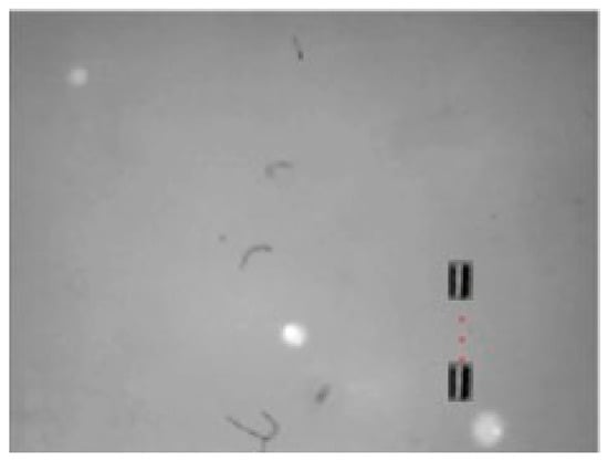 Technologies 13 00174 g016