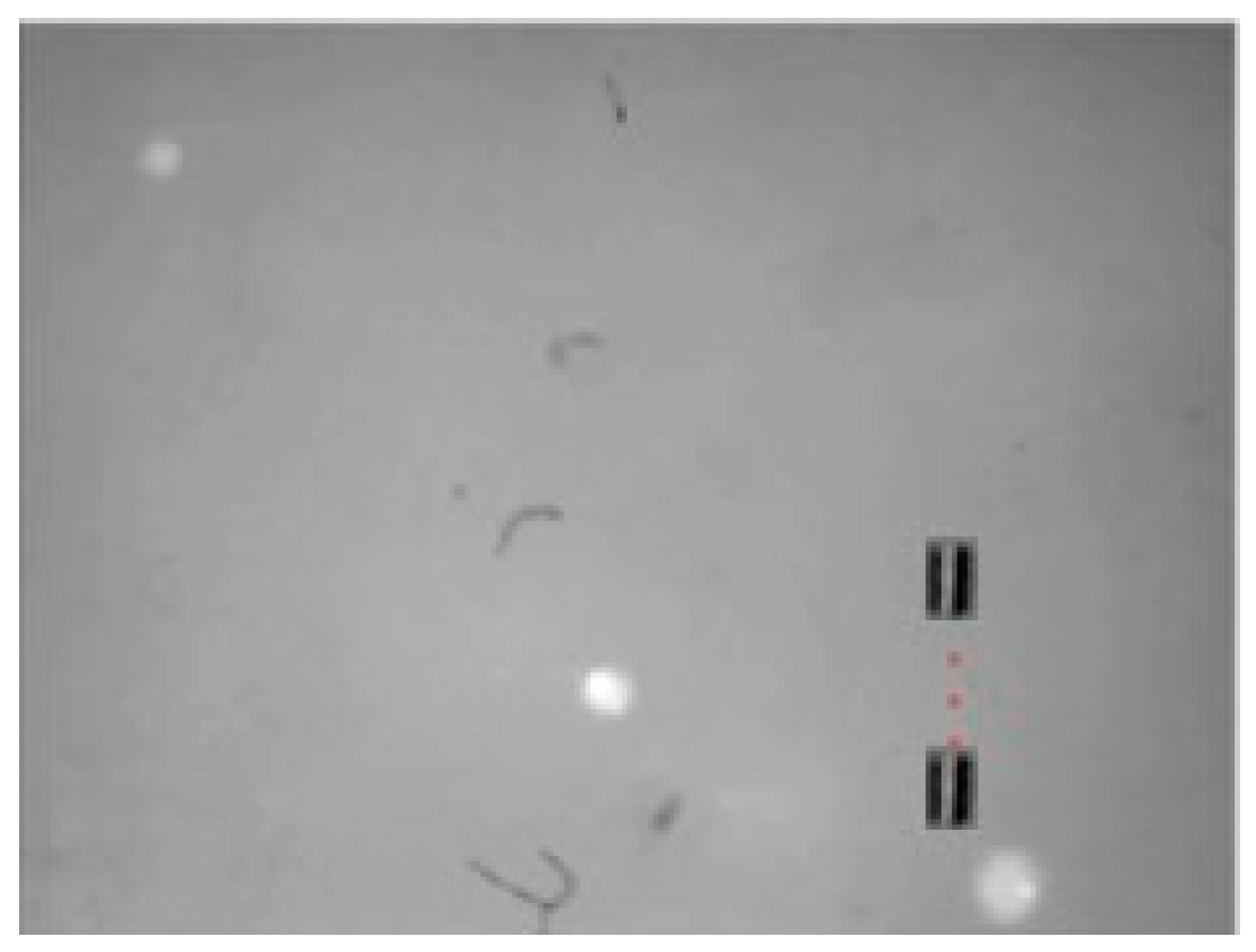 Technologies 13 00174 g016