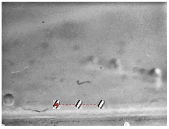 Technologies 13 00174 g017