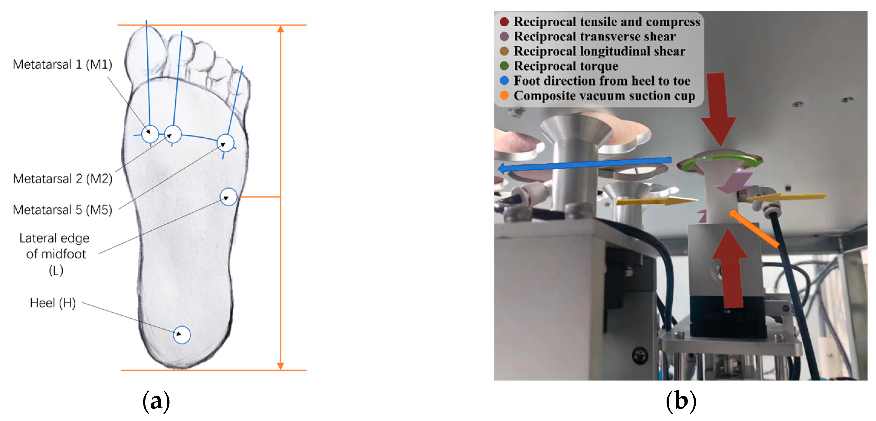 Technologies 13 00191 g004