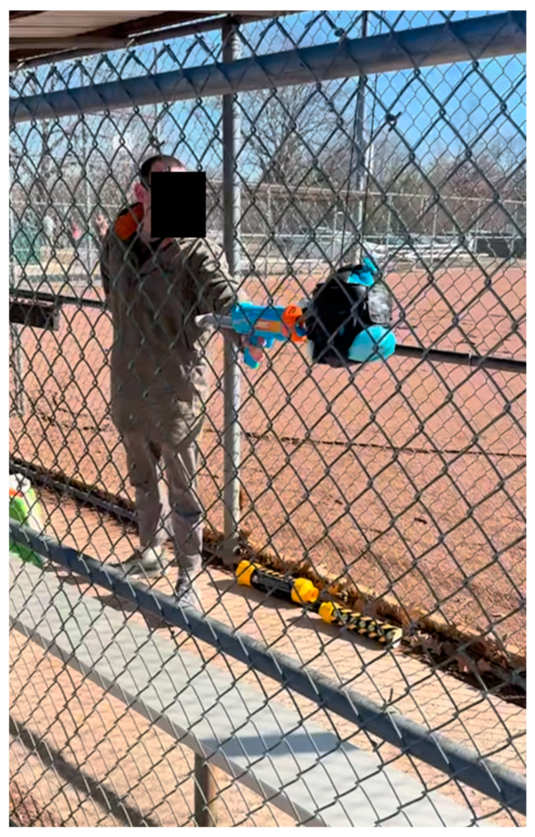 Technologies 13 00199 g004