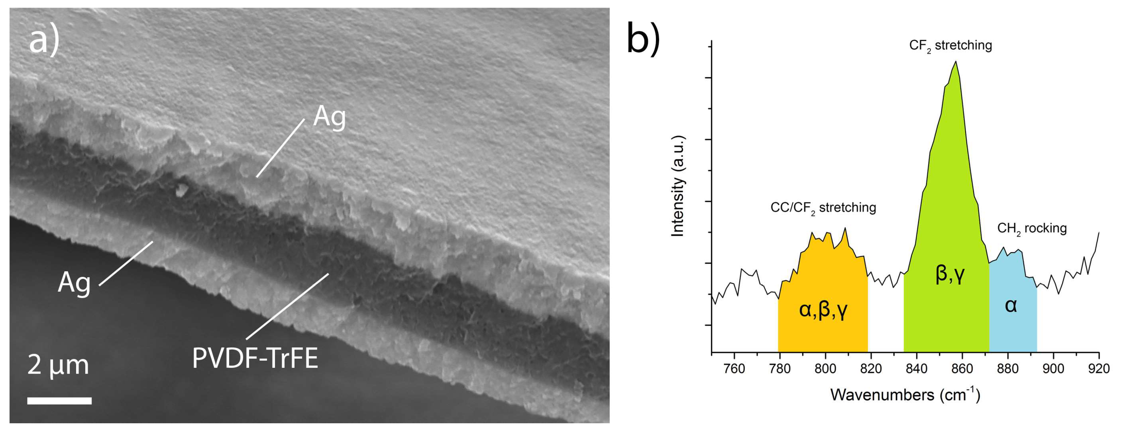 Technologies 13 00206 g003