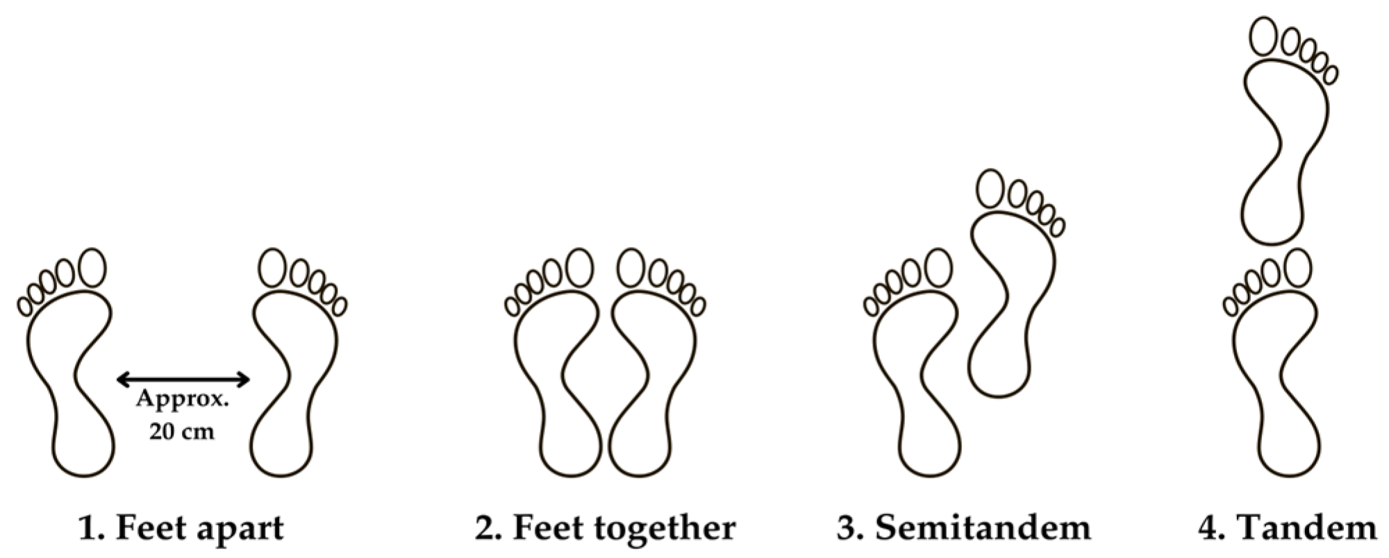 Technologies 13 00225 g004