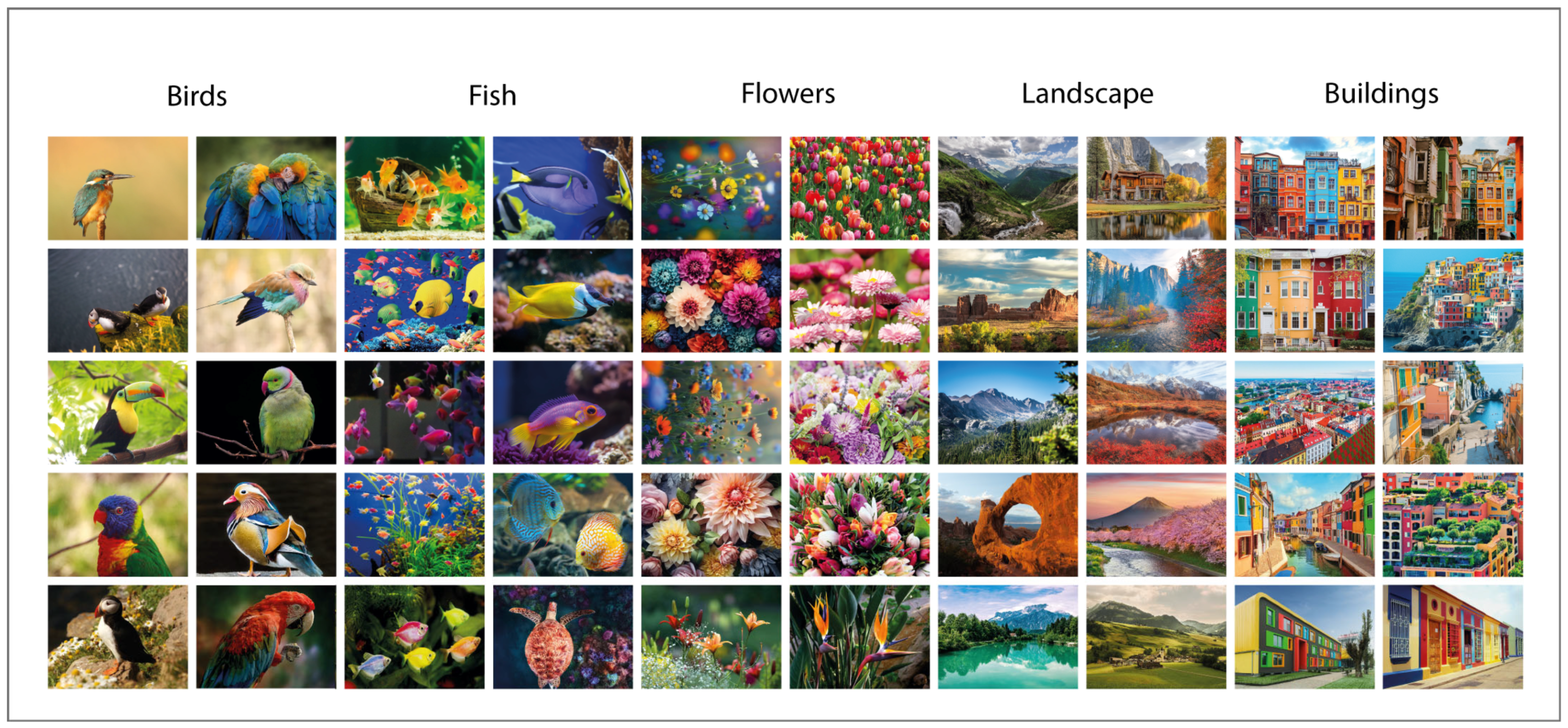 Technologies 13 00230 g001