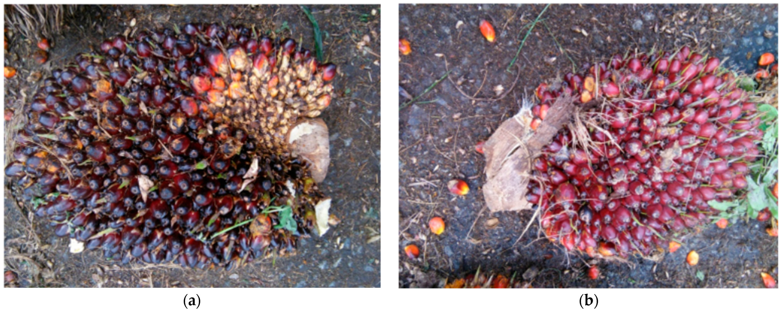 Technologies 13 00234 g001