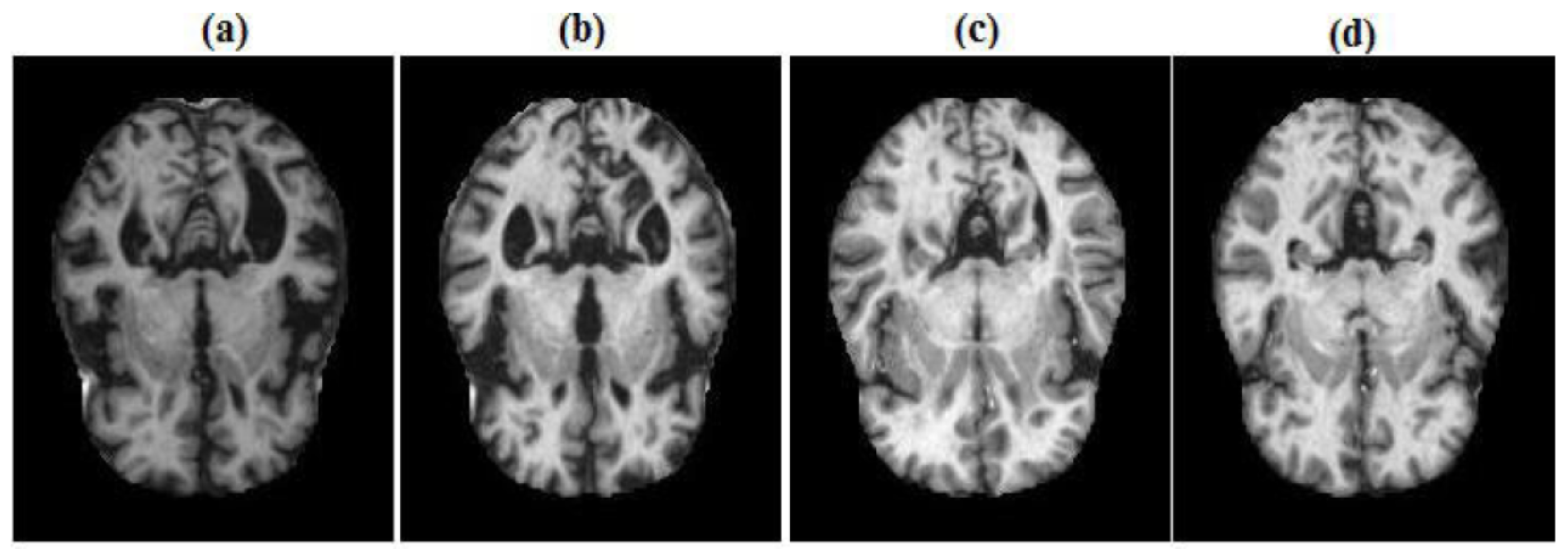 Technologies 13 00258 g001