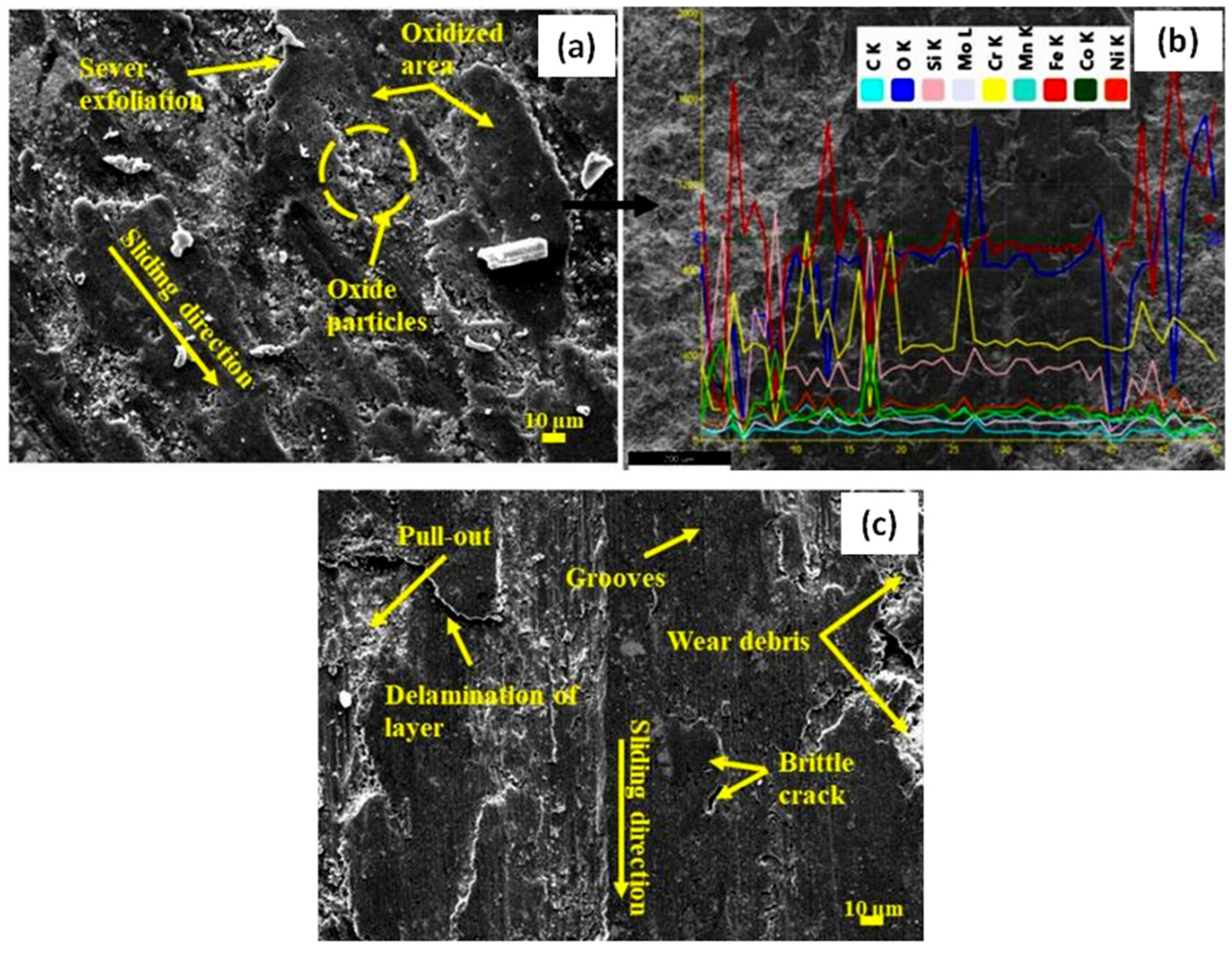 Technologies 13 00281 g011