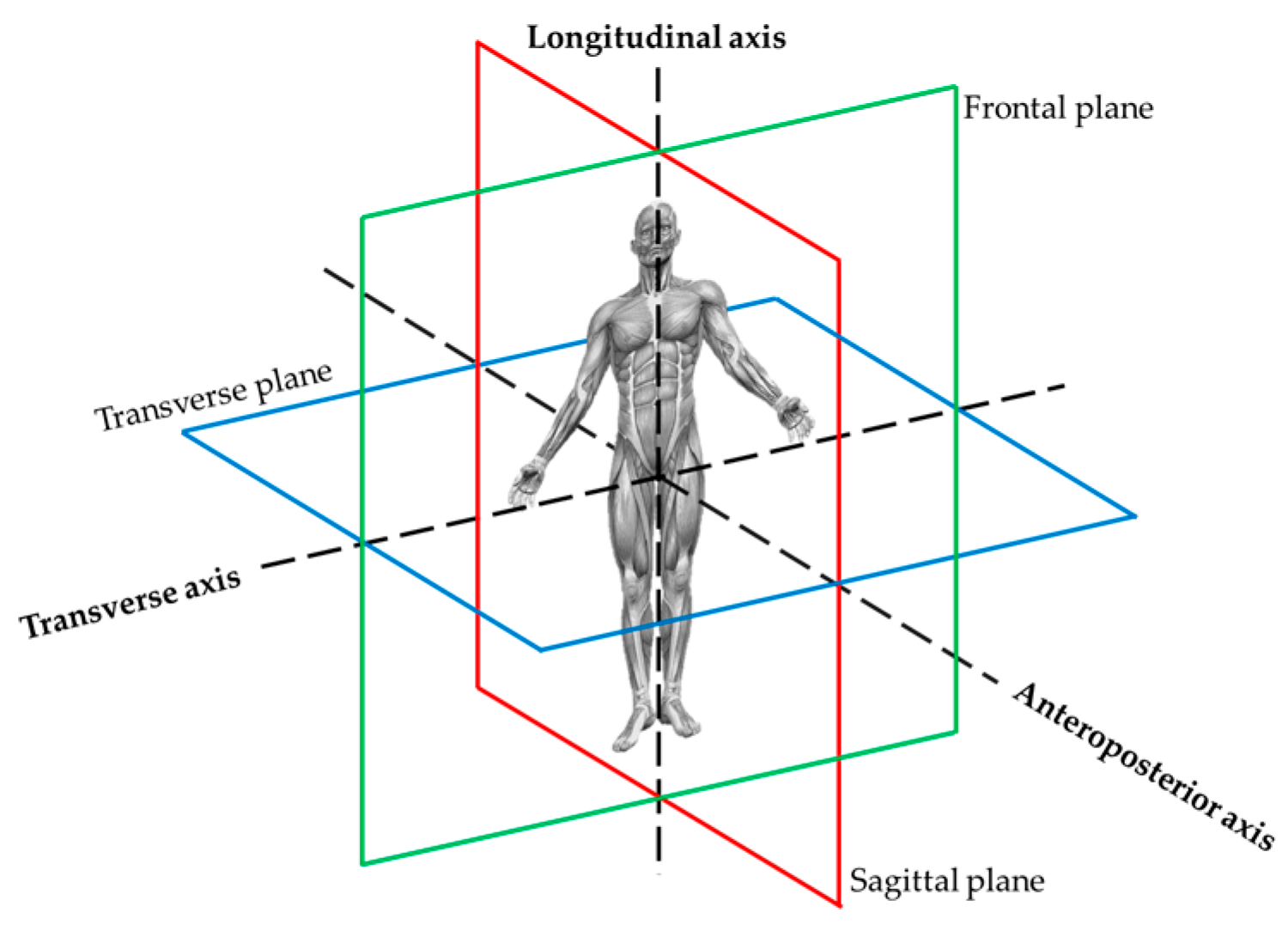 Technologies 13 00292 g003