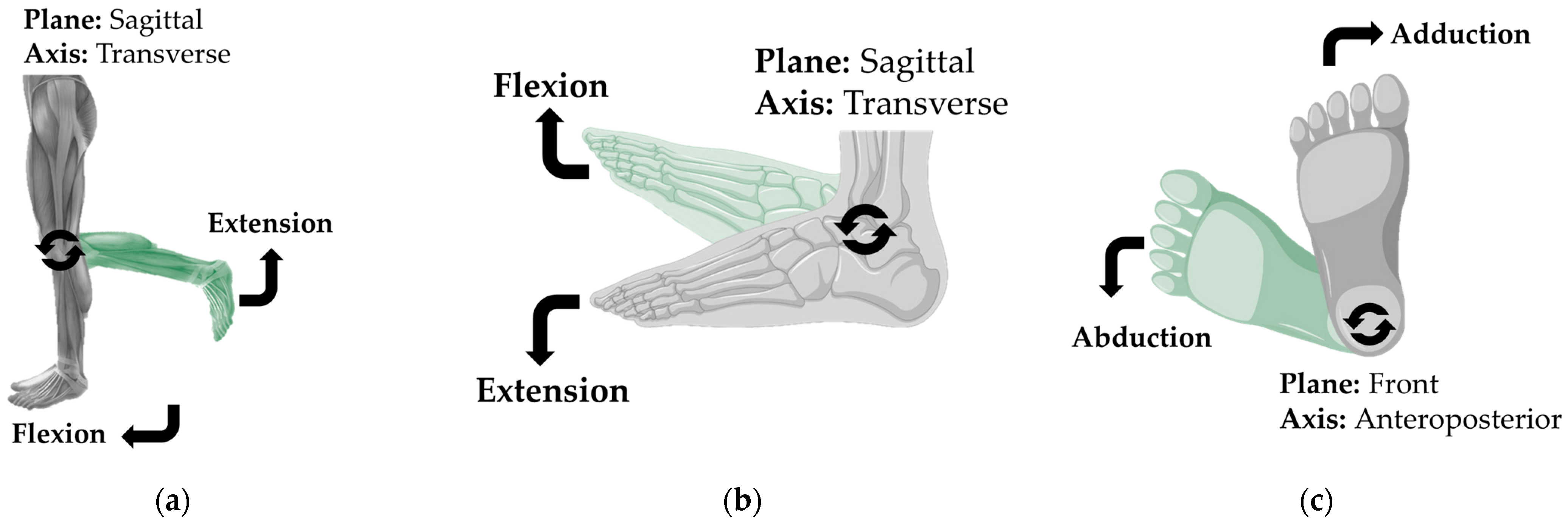 Technologies 13 00292 g007