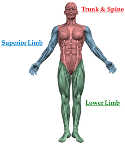 Technologies 13 00292 i002