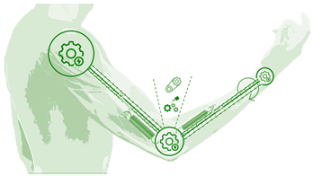 Technologies 13 00292 i014