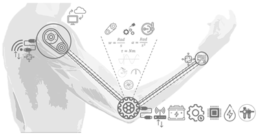 Technologies 13 00292 i016